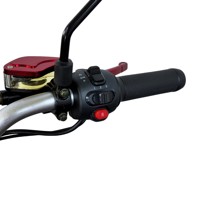 3-Rad Elektro Dreirad City Coco CP-7.0 – Zweisitzer-Modell mit großer Reichweite (20Ah/40Ah)