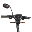 3-Rad-Elektroroller mit Sattel 1000W Modell F2